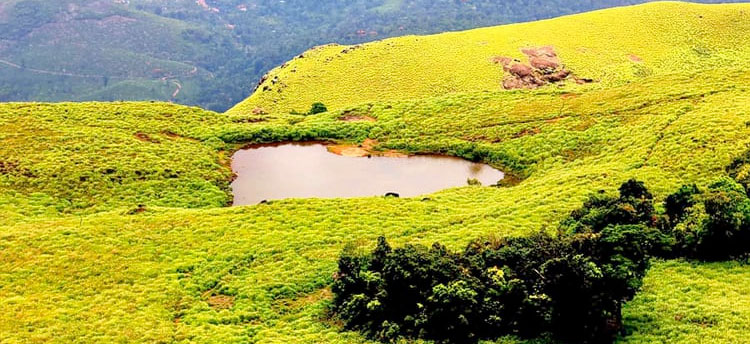 chempra peak wayanad